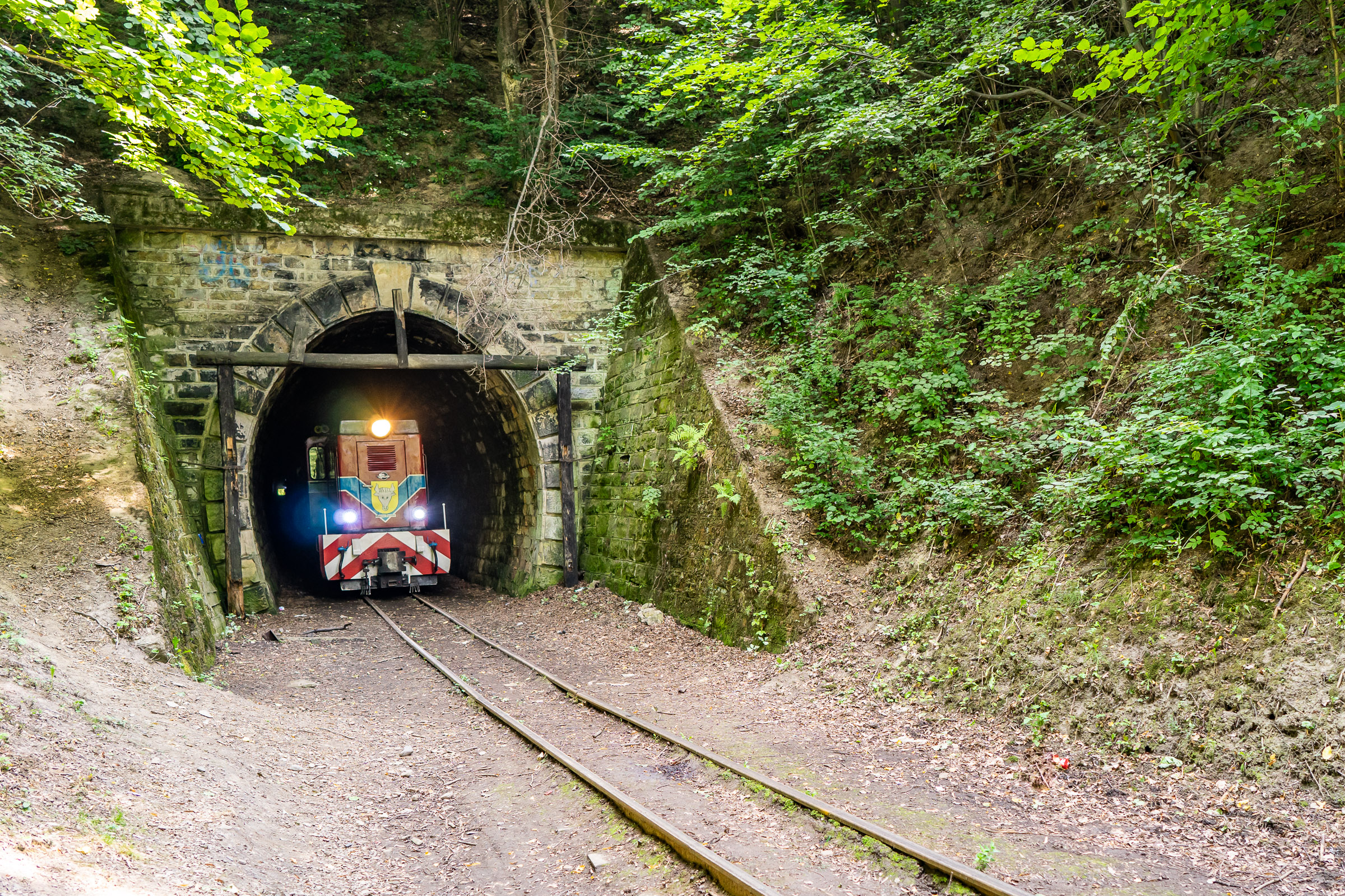 Pociąg Pogórzanin wyjeżdżający z tunelu w Szklarach.