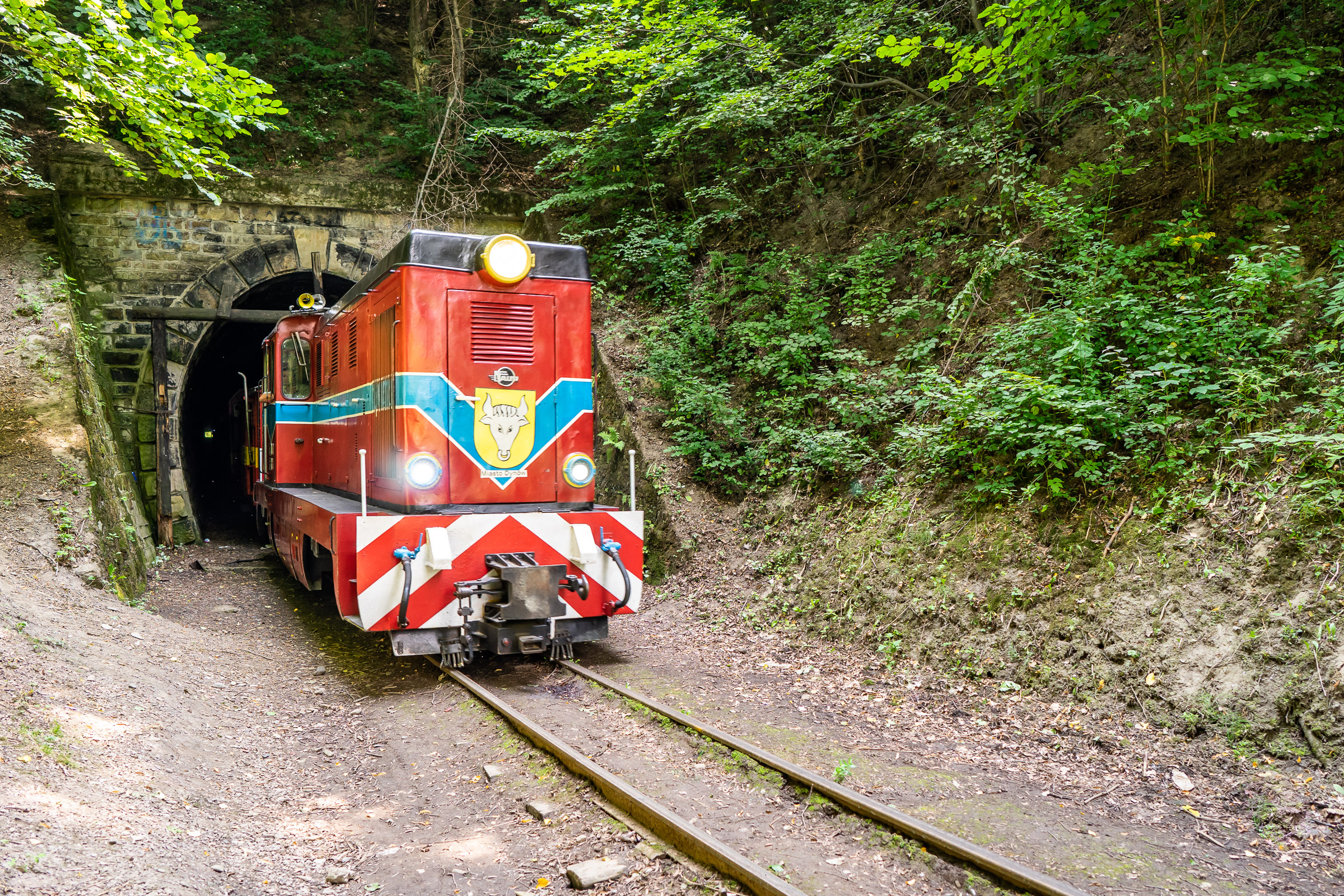 Czerwony pociąg wyjeżdża z tunelu pod górą.