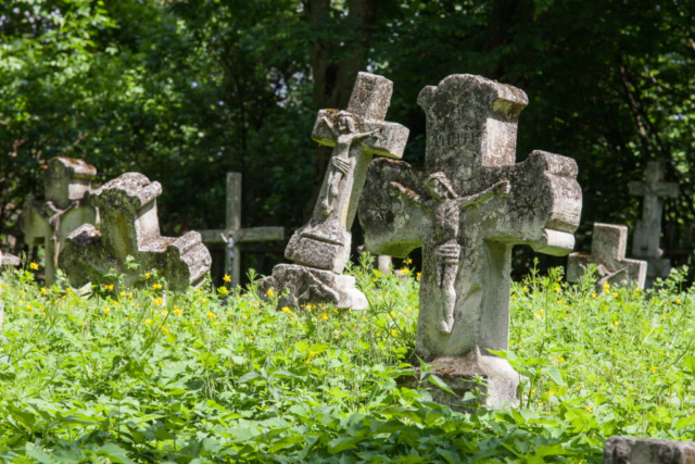 Kamienne krzyże na cmentarzu porośniętym trawą i żółtymi kwiatami. W oddali drzewa.
