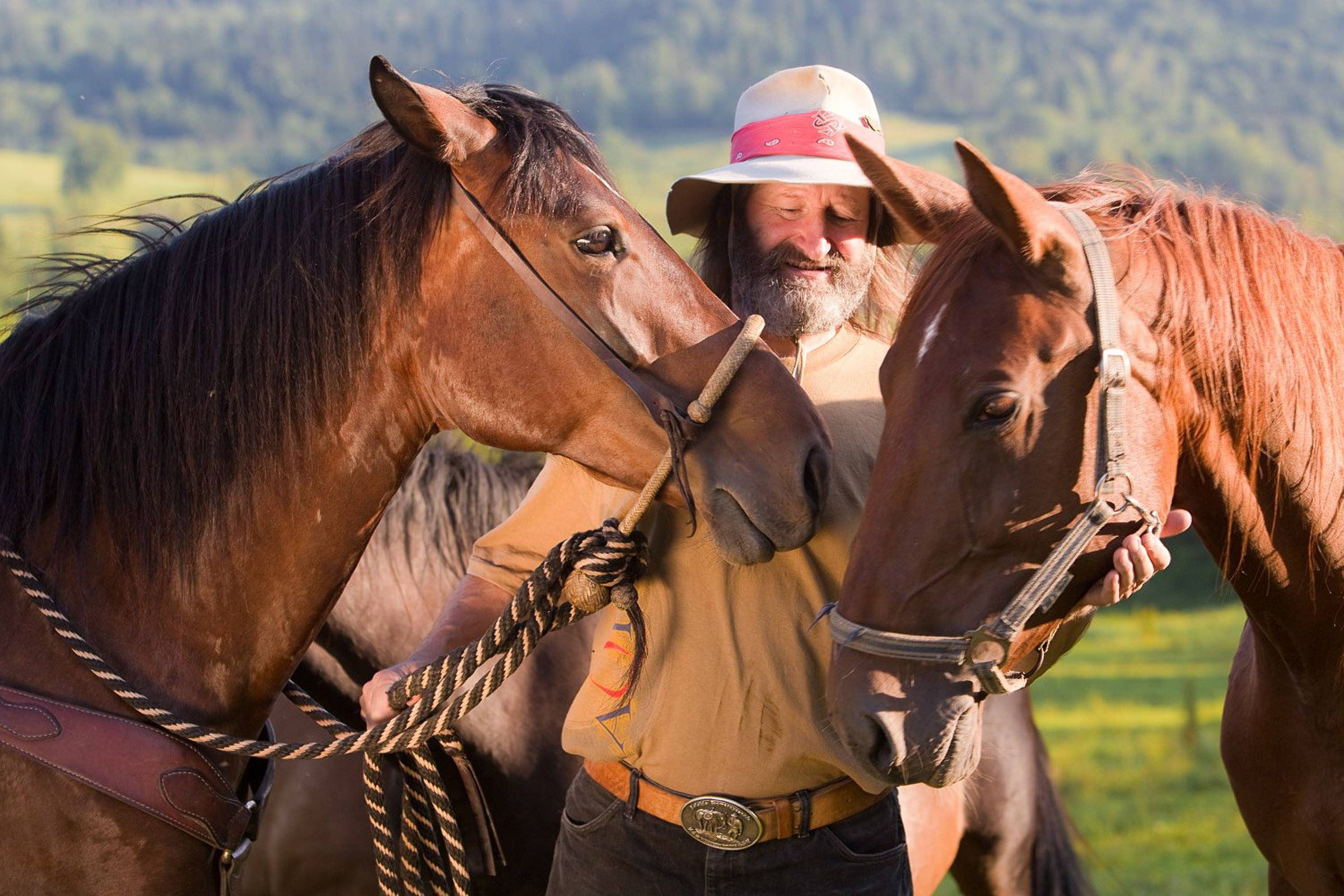 Ryszard Prezes Krzeszowski. Mężczyzna w kapeluszu i z brodą między dwoma końmi