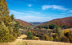 Jesienny krajobraz Beskidu Niskiego. Porośnięte drzewami pagórki. Liście mają brązowe, zielone, żółte i rude barwy.