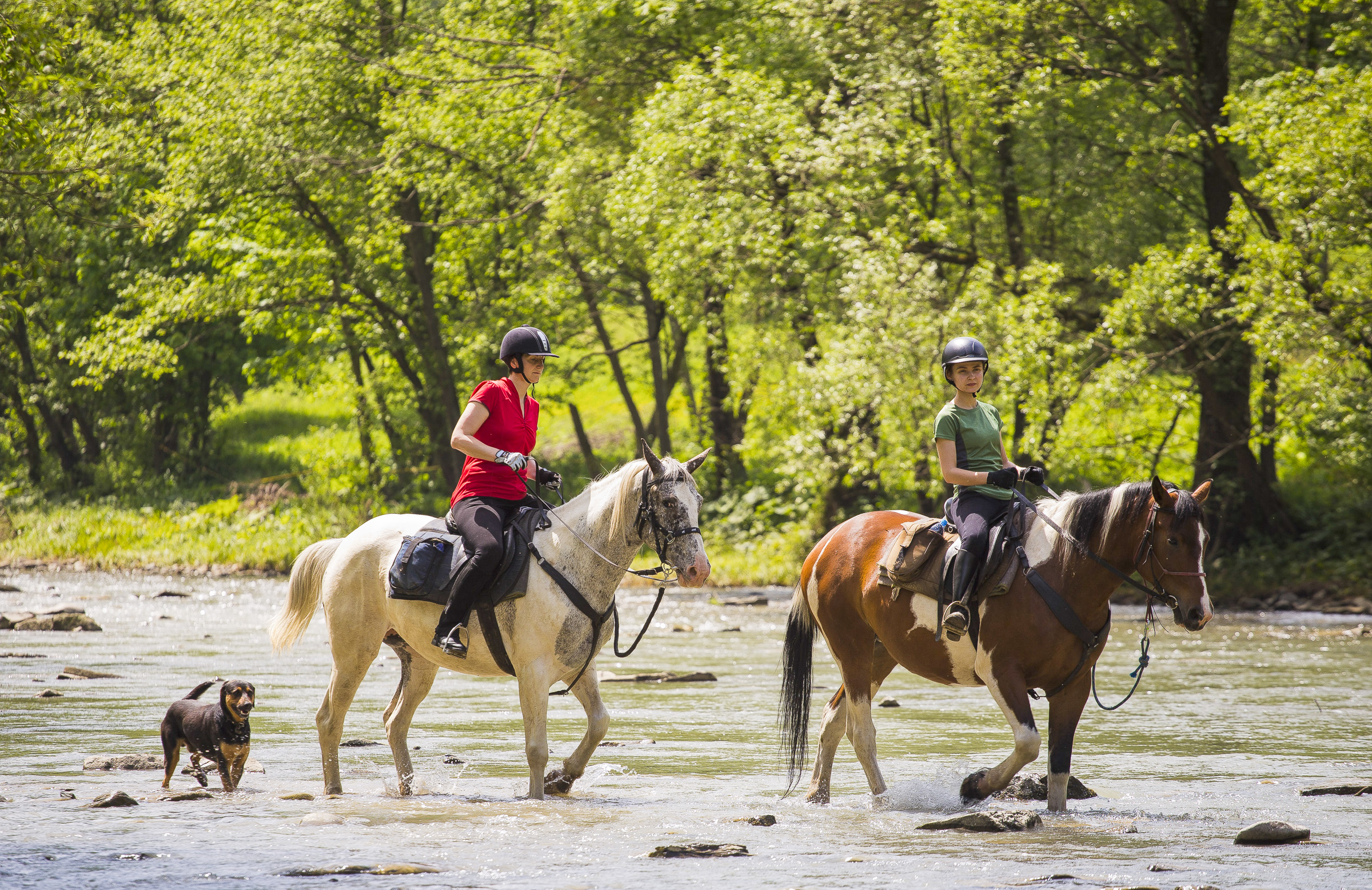 Letni dzień. Dwie kobiety przeprawiają się konno przez rzeką. Za nimi biegnie pies. W tle zagajnik.