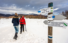 Grupa osób idzie po szlaku pokrytym śniegiem. Obok drogowskazm, w tle szczyt góry.