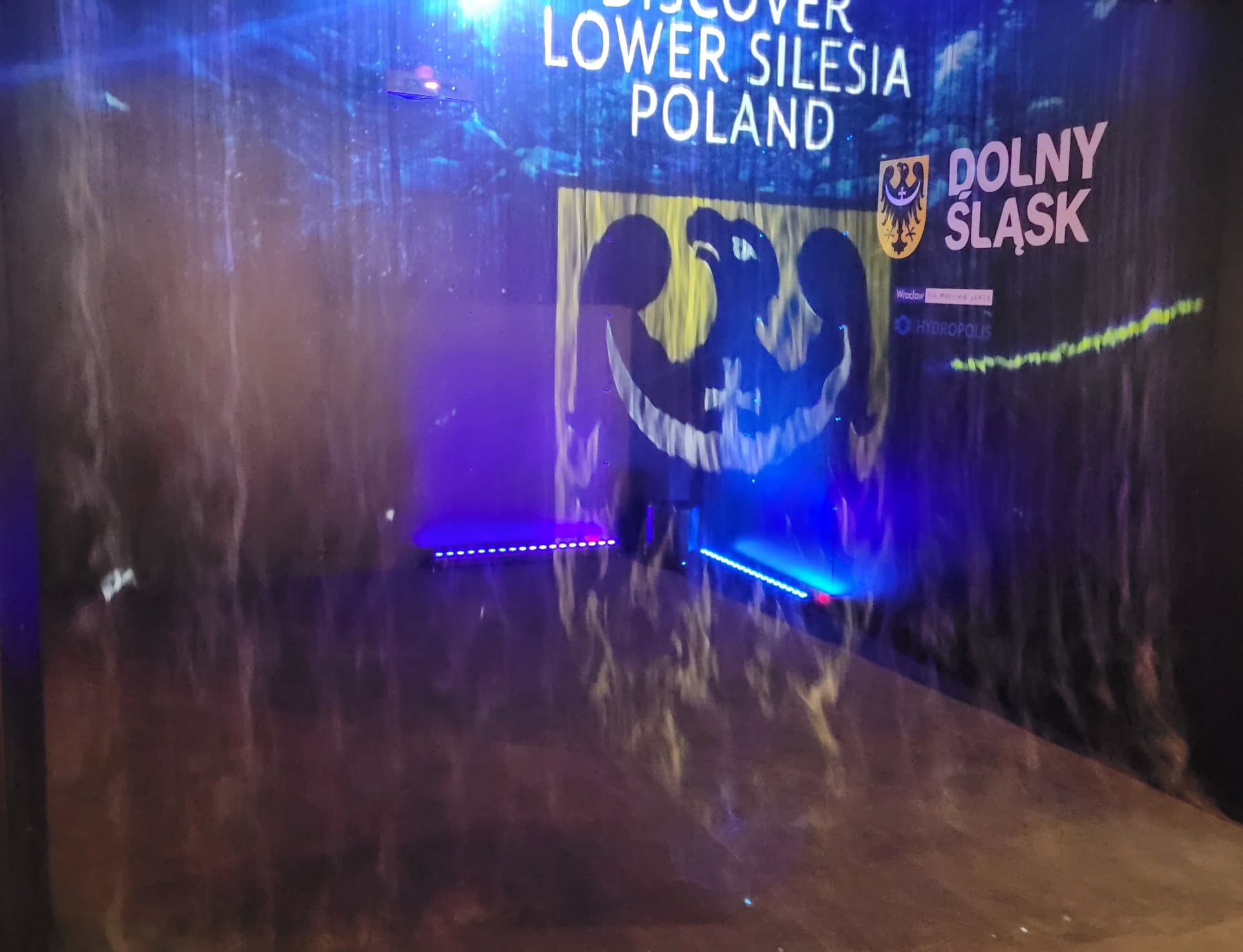 Element wystawy. Hologram z herbem województwa dolnośląskiego